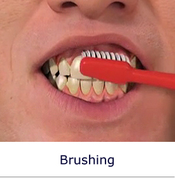 Brushing